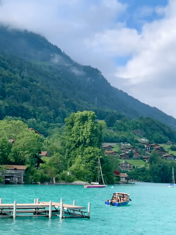 갤러리 이미지 2