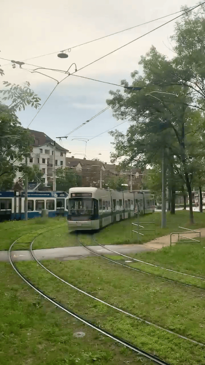 갤러리 이미지 4