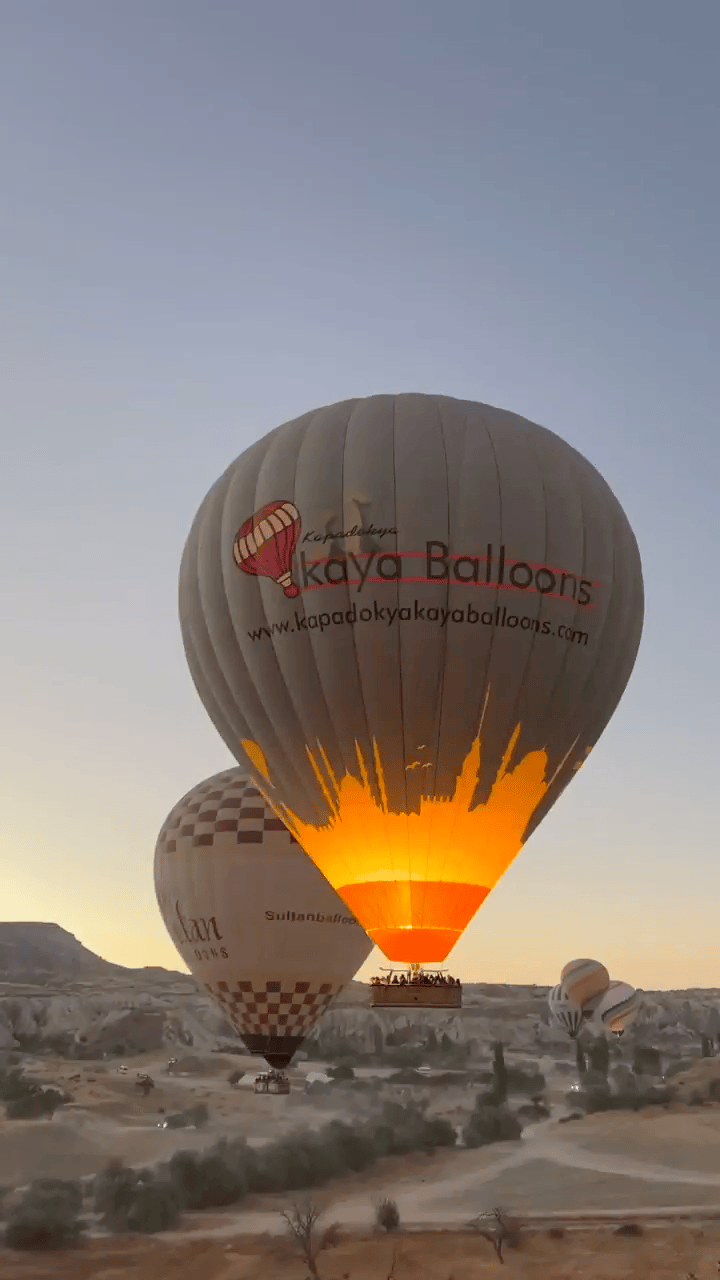 갤러리 이미지 5